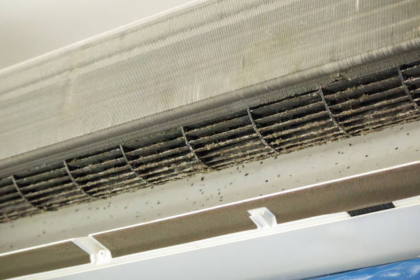 Best HVAC System Cleaning  in King, WI
